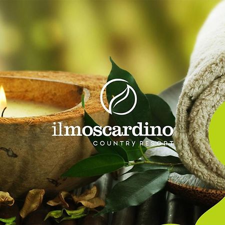 Il Moscardino Country Resort Серра-Сан-Бруно Екстер'єр фото